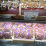 志ち乃 - 生どらシリーズの顔ぶれ