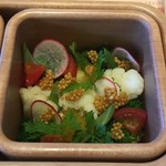 或る列車 - 佐賀県みつせ鶏のしっとり茹で マスタードシードドレッシング