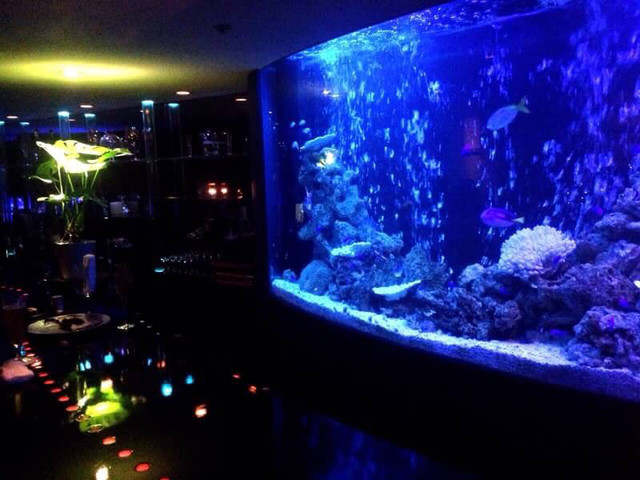 バー ウィステリア Bar Wisteria 中洲川端 バー ネット予約可 食べログ