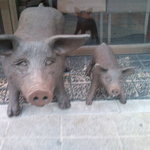 豚しゃぶ専門店 我那覇豚肉店 - 豚さんです