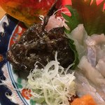 湖粋 - コチの顔