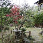 日本料理 和か葉 - 座敷から見た庭園