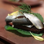 アカ - コハダのボカディージョ