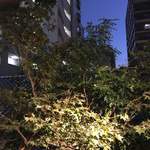 焼肉 八虎 - テラス席からのロケーション