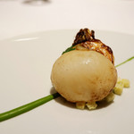 レフェルヴェソンス - 