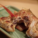 うを徳 - 越中富山ののどぐろ