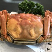 中国飯店 琥珀宮 - 