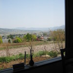 イロナキカゼ - 