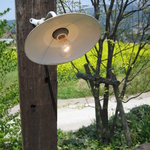 イロナキカゼ - 