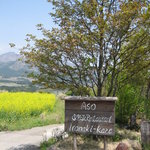 イロナキカゼ - 