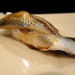 江戸心 山ぼうし - コハダ