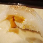 江戸心 山ぼうし - 雲丹烏賊