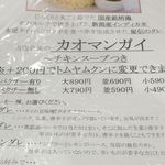 東京カオマンガイ - 「カオマンガイ　パクチーあり　並」690円を黒ダレを添えて注文しました。