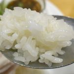 東京カオマンガイ - 鶏肉の旨味を吸い尽くしたようなウマさのご飯をあわせて楽しみました。