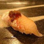 ちとせ鮨 - 脂の乗った白身魚