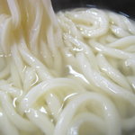 誠うどん - アップ