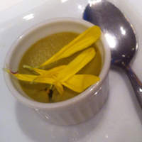 IL PINOLO 梅田 - 