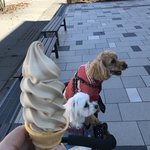 ミカドコーヒー - 