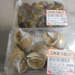 本庄鮮魚センター - バイ貝