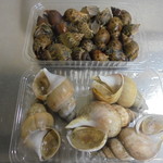 本庄鮮魚センター - バイ貝