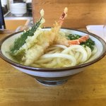 玉藻うどん - エビがたってる！