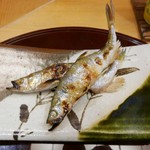 赤坂 詠月 - 【ししゃも】♫2017/10