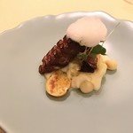 TERRAZZA - 