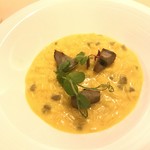 TERRAZZA - 