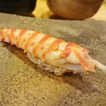 Sushi Sakuragi - クルマエビ