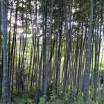 エルルカン・ビス - 