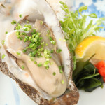 浜の牡蠣小屋 東神奈川店