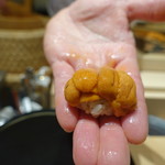 寿しの吉乃 - 2017.11 バフン雲丹