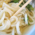 中村うどん - かけのアップ　麺が細い