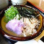 出雲そば きがる - からみ大根がいい色です！