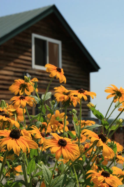 Cafe　ある - 帯広市その他（カフェ）の写真