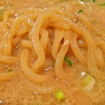 Mujinzou Koiwaya - 麺アップ