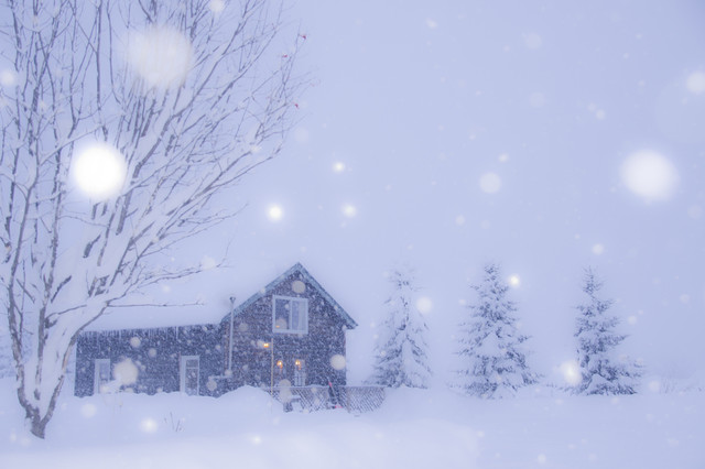 Cafe　ある - 帯広市その他（カフェ）の写真