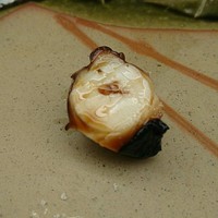 鮨 木場谷 - 