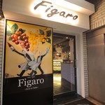 Figaro - 