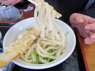 Junteuchi Udon Yoshiya - 生醤油１玉