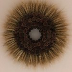 ビブレ - 宿泊棟エントランスのリース