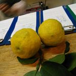 いっさ - お客さん差し入れの柚子