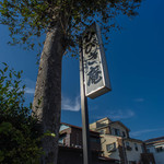 ひびき庵 - 招牌（かんばん）