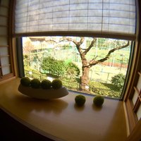 猩々 - 