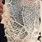 久遠の空 - 2017.11 網脂