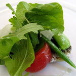 カノビアーノ アネックス - 新秋刀魚のカルパッチョ季節野菜のサラダ仕立て