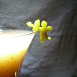 バー・バーンズ - イチジクのカクテル-05キューピット