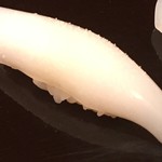 龍文支店 - イカ。コリコリの食感が良いです。