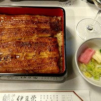 鰻割烹 伊豆栄 本店 - 