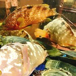香港海鮮料理 椰林 - 